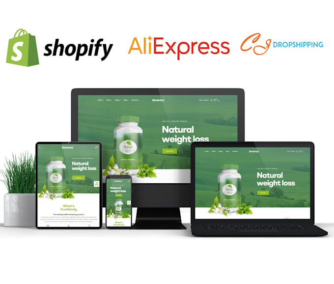 create shopify dropshipping store or shopify website