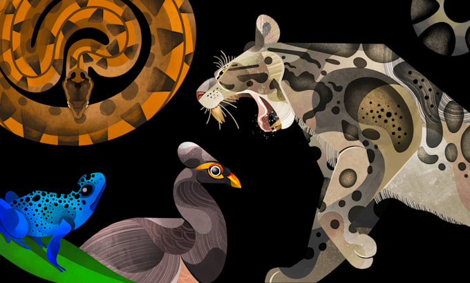 create an exotic animal or pet illustration for you