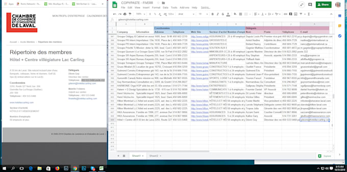do data entry, scrapping, lead generation and web research