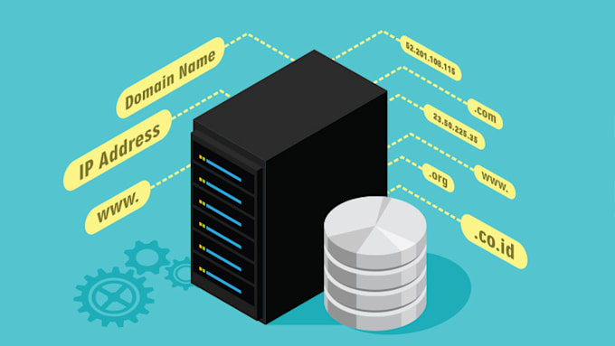 help you with dns