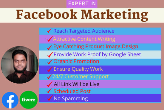 promote any business by effective facebook marketing in USA