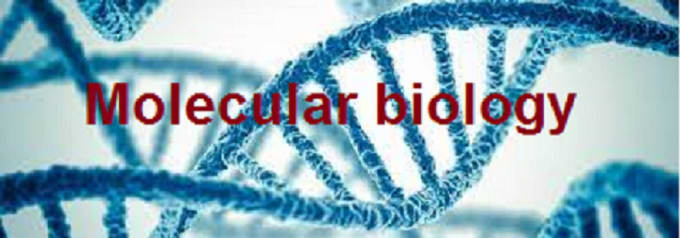 Assist in molecular biology, cell biology, genetics, biotechnology