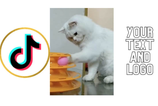 create trending tiktok video compilation