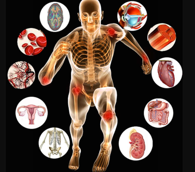 be your pharmacology, physiology, and anatomy tutor