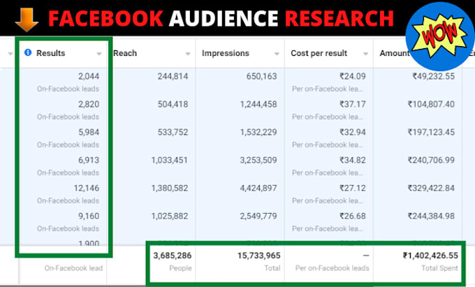 Hot Review! I will find target audience for facebook and instagram ads campaign  for $5