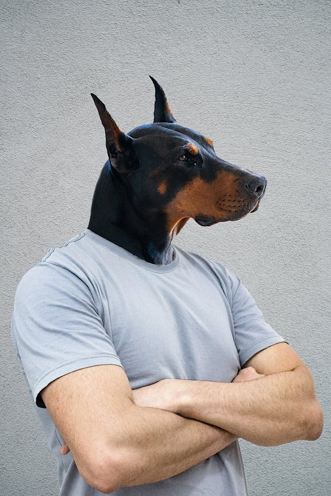 do custom dog portrait