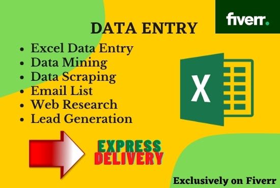 do fast excel data entry and web research in one day