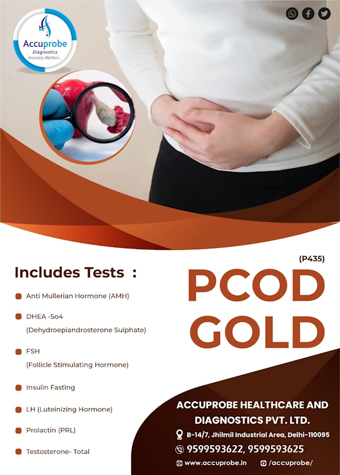 design professional flyers or pamphlete