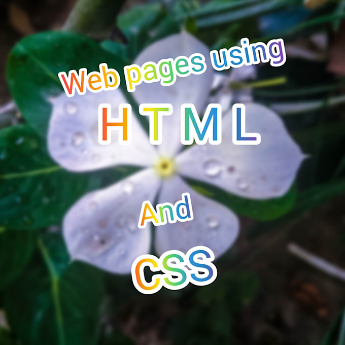 Make web pages using html and css by Muhammadhamz642 | Fiverr