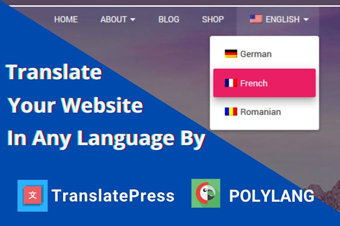 translate wordpress by polylang , translatepress pro plugin