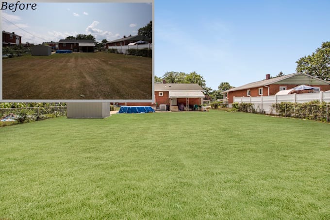 replace grass, blue sky professionally fast turnaround