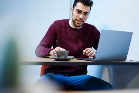 write essay, article, blog, summary