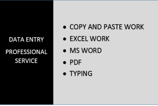 provide accurate data entry typing retype scanned pages