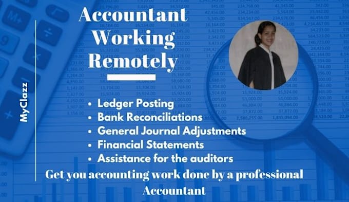 provide accounting services remotely