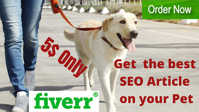 write SEO articles and blogs on your dogs and pet