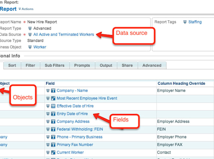 Build and design workday reports by Workday_fin Fiverr
