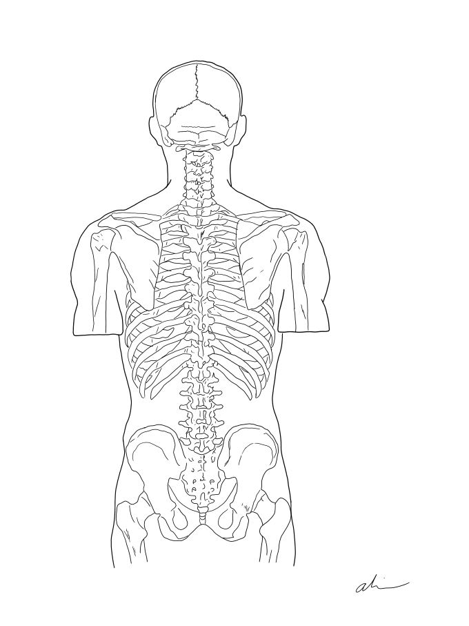 Draw digital human anatomy medical sketch by Sketchbyali Fiverr