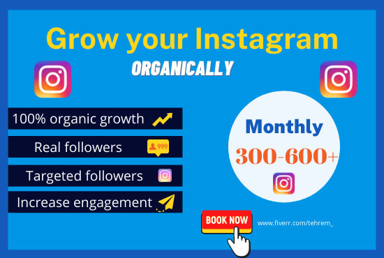 grow and promote instagram organically