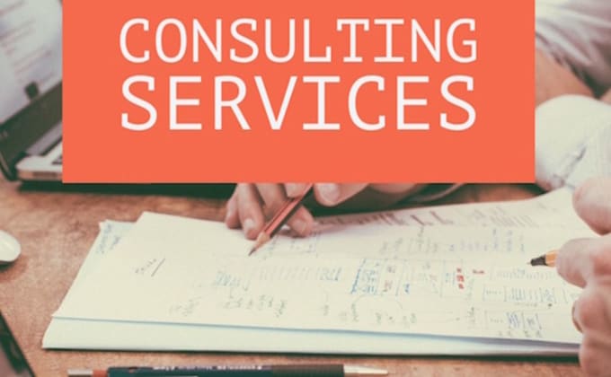 provide expert consulting services virtually