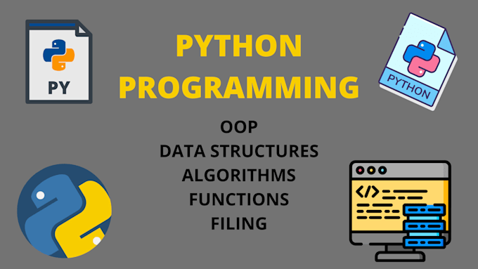 do your python projects or help you with your projects