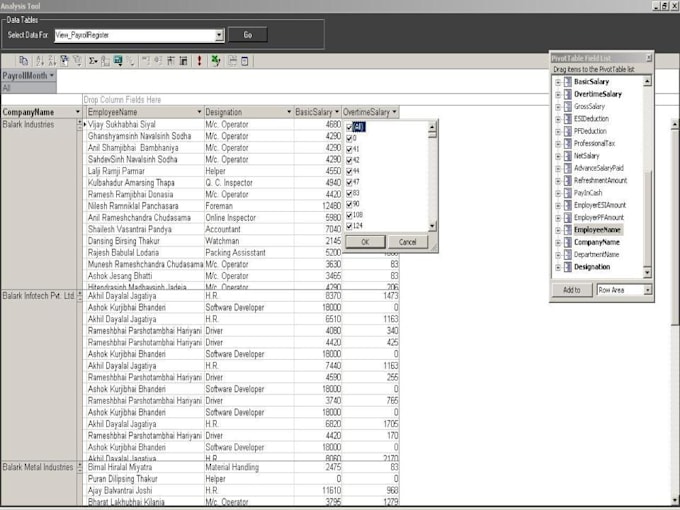 do any kind of customized software and website development