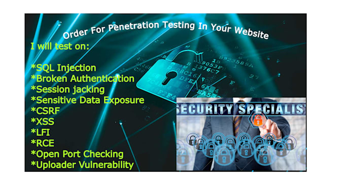 pentest your web application and provide you a full report