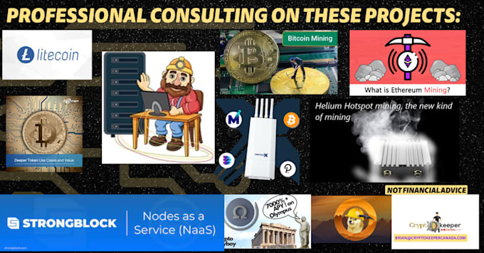 consult on mining bitcoin btc doge ltc operations big or small