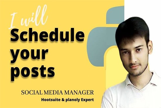 schedule perfact post on social media via hootsuite, planoly, sendible