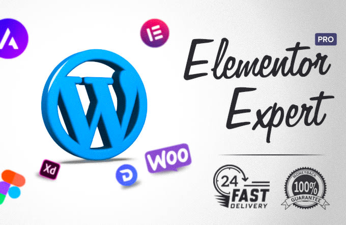 be your wordpress expert and elementor pro expert
