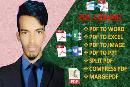 do fastest data entry, pdf convert, copy paste