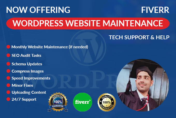 maintain your wordpress website and perform SEO audits