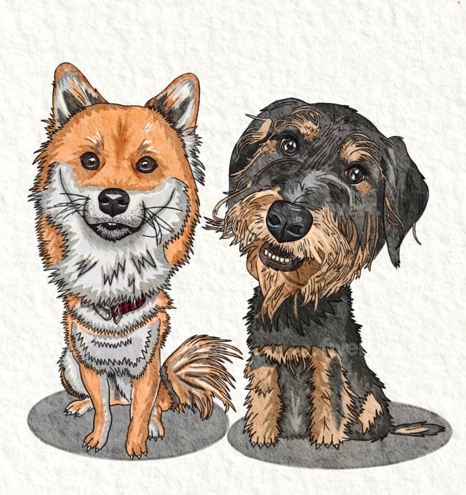 make cute pets illustrations,caricature