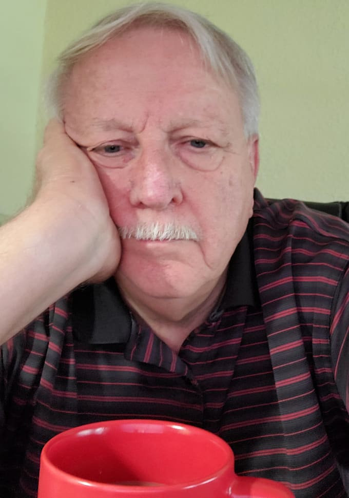 creatively and professionally write anything