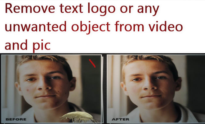 remove background logo or any unwanted object from picture