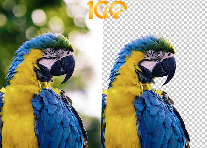 photos background removal and crop image