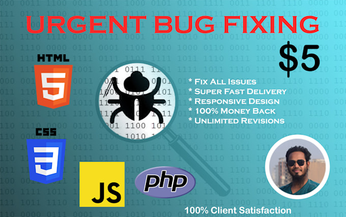 fix wordpress errors, theme and plugin issues professionally