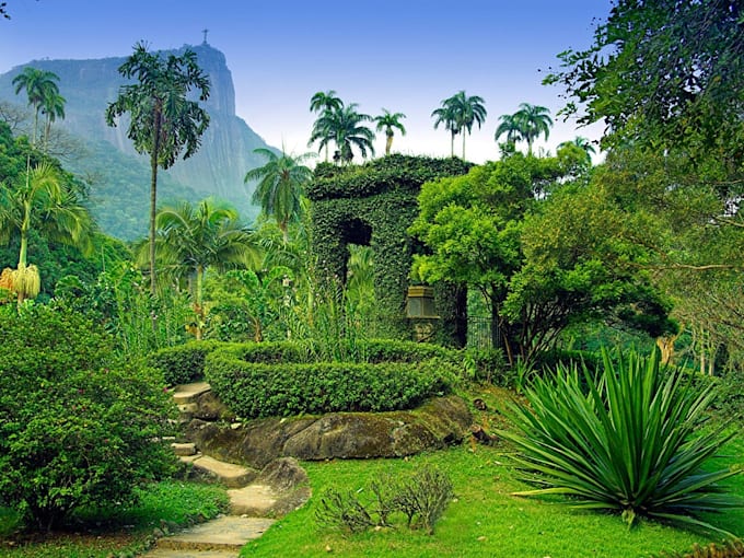 write SEO content and guides on medicinal and herbal plants