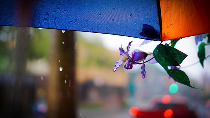 create HD relaxing rain videos