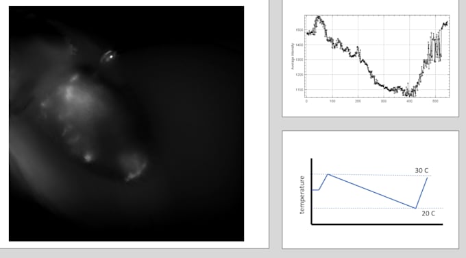 Want to learn physics using python programming by Ganesh_giri | Fiverr