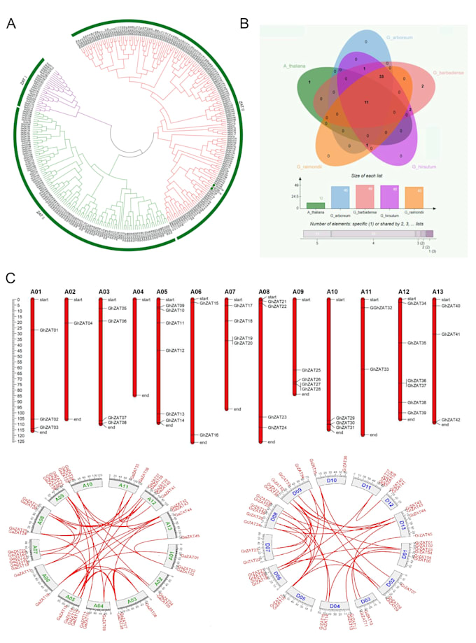 bioinformatics and genome wide study