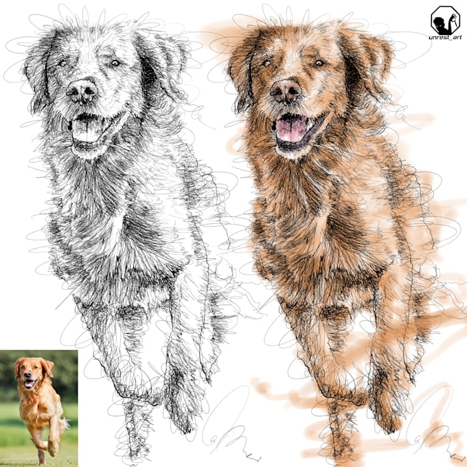 draw your animals and pets in my scribble art style