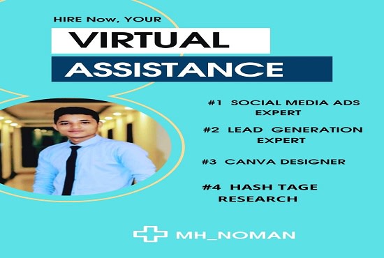 be your virtual assistant, setup and optimize ads campaigns