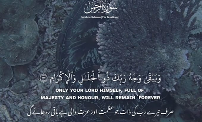 create quran recitation video shorts in 4k