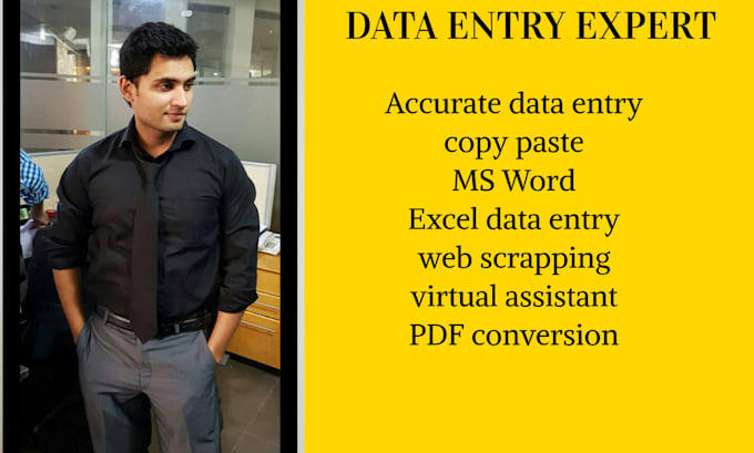 data entry, excel data cleaning, and web research