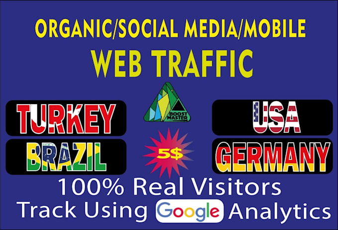 provide USA germany brazil turkey organic traffic