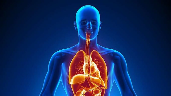 write transcribe proofread medical and health content