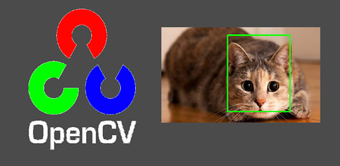 Do image processing, opencv and deep learning in python by Areebaali237 ...