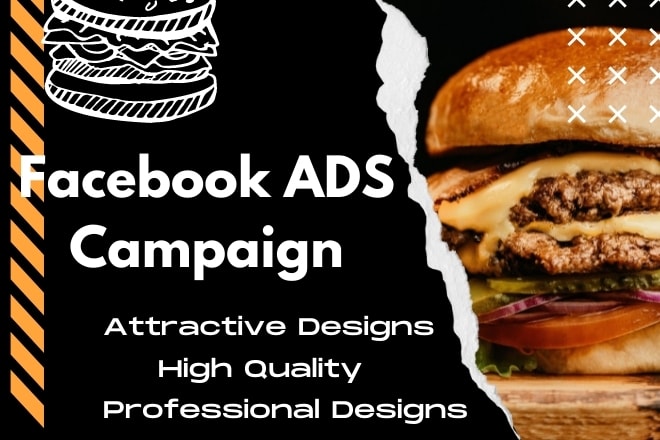 professionally  create your facebook ads campaign