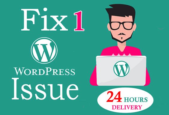 troubleshoot your wordpress website, edit wordpress website