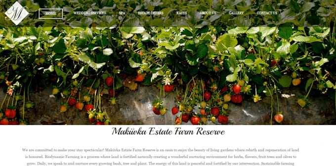 redesign your old website